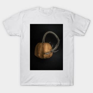 Gourds No 11 Color Version T-Shirt